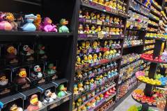 amsterdam_niveau-klatsch_2026_13