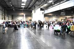 dogs_and_fun_2025_17_niveau-klatsch