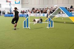 dogs_and_fun_2026_niveau-klatsch_11