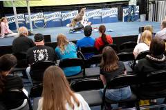 dogs_and_fun_2026_niveau-klatsch_5