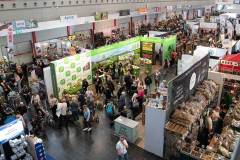 dogs_and_fun_2026_niveau-klatsch_7