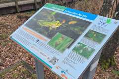 Elmpter-Schwalmbach_niveau-klatsch_10