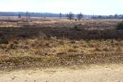 Elmpter-Schwalmbach_niveau-klatsch_11