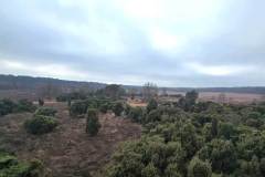 Elmpter-Schwalmbach_niveau-klatsch_13