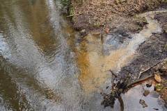 Elmpter-Schwalmbach_niveau-klatsch_17