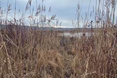 Elmpter-Schwalmbach_niveau-klatsch_19