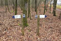 Elmpter-Schwalmbach_niveau-klatsch_7