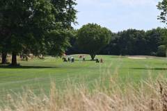 golfmesterschaft_2025_niveau-klatsch-18