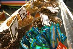 DSC_7592_gruene_woche_2026