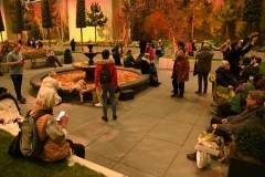 gruene_woche_berlin_2026_niveau-klatsch_28