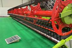 gruene_woche_berlin_niveau-klatsch-12