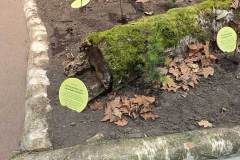 gruene_woche_berlin_niveau-klatsch-14