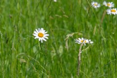 hemer_felsenmeer_niveau-klatsch_12