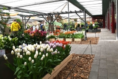Keukenhof 2025