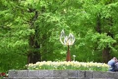 Keukenhof 2025
