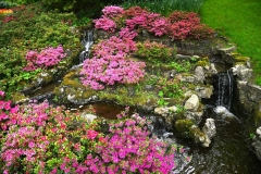 Keukenhof 2025