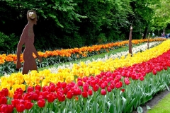 Keukenhof 2025