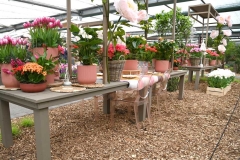 Keukenhof 2025