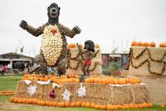 kreweslshof_eifel_niveau-klatsch_09_2026_16