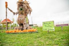 kreweslshof_eifel_niveau-klatsch_09_2026_6
