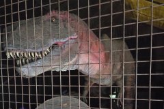 moviepark_07_2025_11