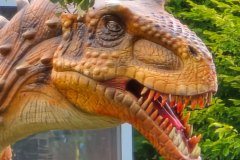 moviepark_07_2025_12