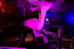moviepark_07_2025_7