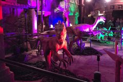 moviepark_07_2025_8