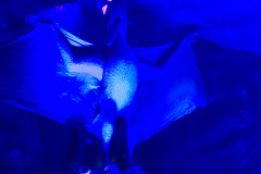moviepark_07_2025_9