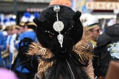 rosenmontag_duesseldorf_2026_niveau-klatsch_38