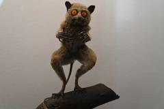 senckenberg-naturmuseum_niveau-klatsch_12
