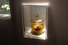 senckenberg-naturmuseum_niveau-klatsch_14