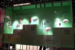 senckenberg-naturmuseum_niveau-klatsch_16