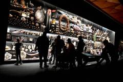 senckenberg-naturmuseum_niveau-klatsch_19