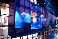 senckenberg-naturmuseum_niveau-klatsch_2