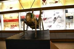 senckenberg-naturmuseum_niveau-klatsch_20