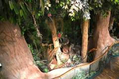 senckenberg-naturmuseum_niveau-klatsch_4
