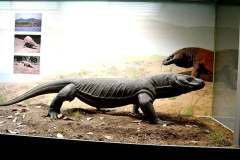 senckenberg-naturmuseum_niveau-klatsch_5