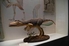senckenberg-naturmuseum_niveau-klatsch_9
