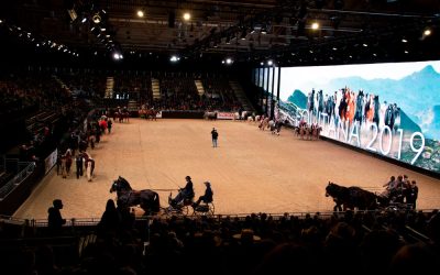 Die Equitana geht in die 25. Runde