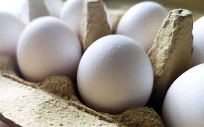 Salmonellen im Ei – Produktrückruf bei Geflügelhof Strauß Eiern!