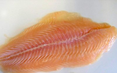 Rewe und Penny rufen Pangasiusfilet zurück!