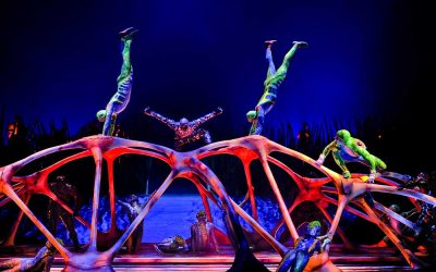 TOTEM_ORIGINAL_Cirque_du_Soleil