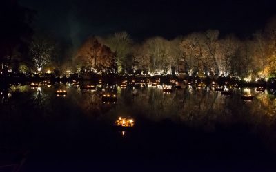 PHANTASTISCHER LICHTER WEIHNACHTSMARKT - PLWM