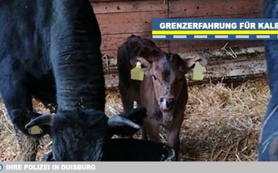 Annie büßt aus und macht eine sprichwörtliche Grenzerfahrung!