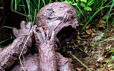 Moorleiche im Wildpark-MV / Copyright - Niveau-Klatsch