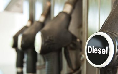 57 Prozent der Deutschen wollen kein Palmöl im Autotank!