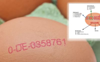 Im Visier: Legehennen und ihre Eier – Teil 2
