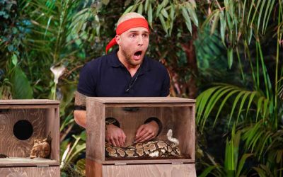 Die Dschungelshow – so schlecht ist es doch gar nicht