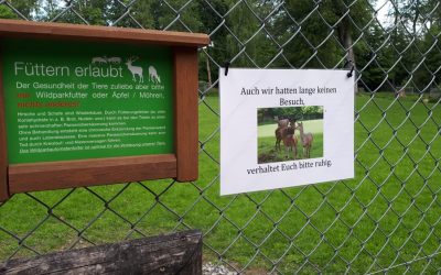 wildpark_2021_wiedereroeffnung/ Foto- Archiv Niveau-Klatsch